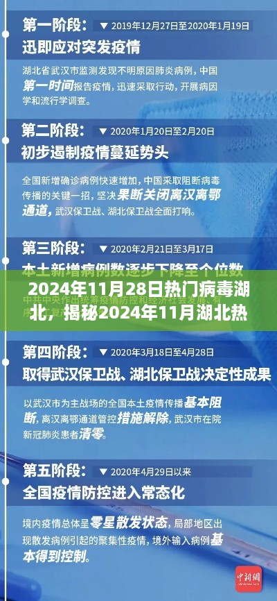 揭秘湖北熱門病毒現(xiàn)象，傳播特點、防控措施與公眾關注焦點（2024年11月報告）