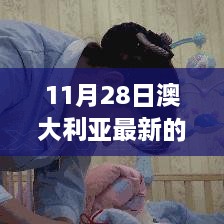 11月28日澳大利亞最新的政策，澳大利亞新政策啟航日，變化中的學(xué)習(xí)，自信與成就感的源泉