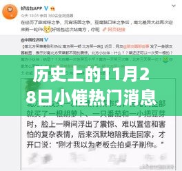 歷史上的11月28日，小催熱門消息回顧