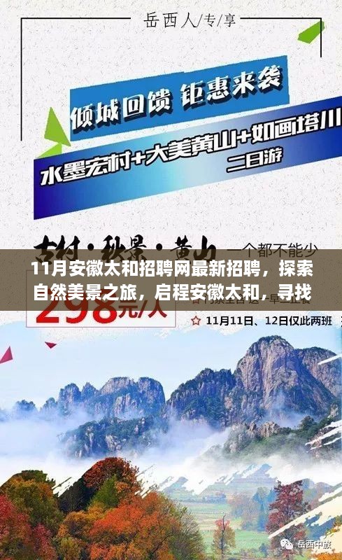 安徽太和最新招聘啟幕，探索自然美景之旅，啟程尋找內(nèi)心寧?kù)o與和諧