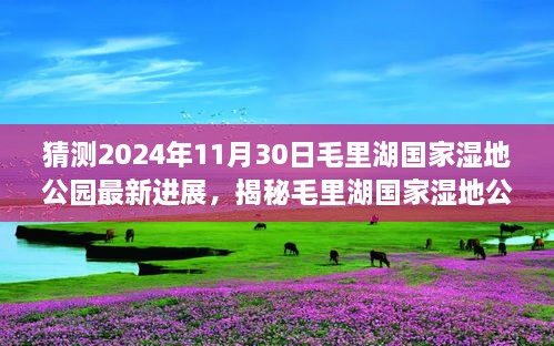 猜測(cè)2024年11月30日毛里湖國(guó)家濕地公園最新進(jìn)展，揭秘毛里湖國(guó)家濕地公園，2024年最新進(jìn)展展望