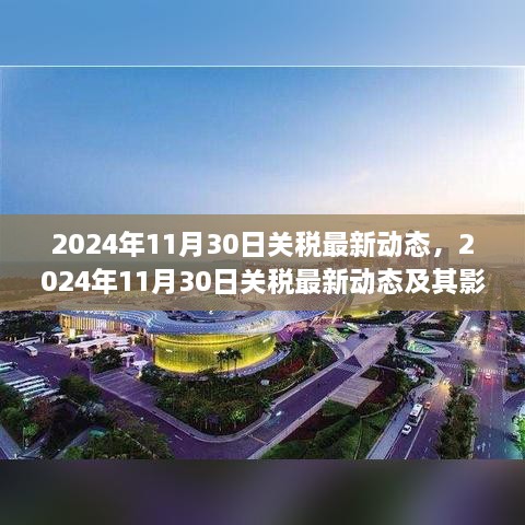 深度解析，2024年11月30日關(guān)稅最新動(dòng)態(tài)及其全球影響