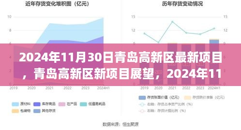 青島高新區(qū)新項(xiàng)目展望，機(jī)遇與挑戰(zhàn)并存，聚焦未來(lái)創(chuàng)新機(jī)遇（2024年11月30日）