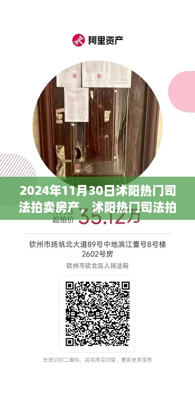 2024年11月30日沭陽熱門司法拍賣房產(chǎn)搶拍指南，最新房源大揭秘