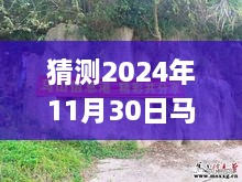 揭秘未來，馬山縣石豐村2024年11月30日最新動態(tài)展望指南