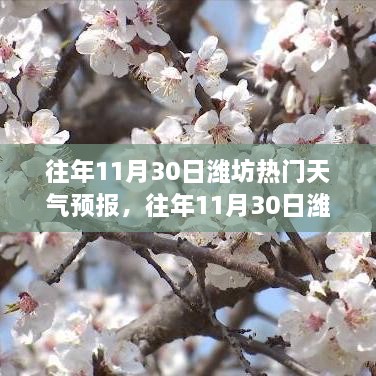 濰坊往年11月30日天氣預(yù)報回顧與旅行建議，氣象分析與建議