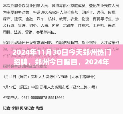 鄭州今日矚目，回顧2024年11月30日熱門(mén)招聘盛況