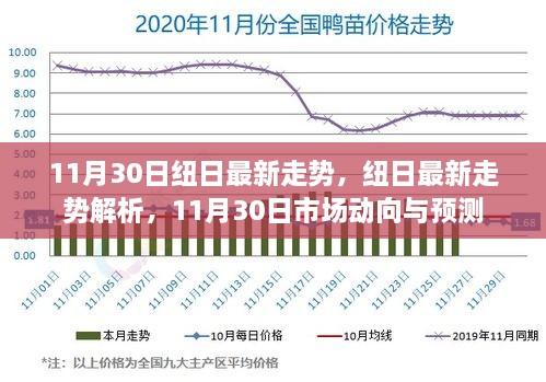 11月30日紐日走勢深度解析及市場動向預(yù)測