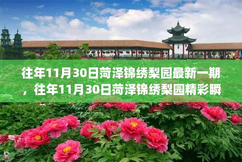 菏澤錦繡梨園，傳統(tǒng)戲曲魅力之旅的精彩瞬間探索