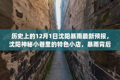 沈陽暴雨背后的神秘小巷寶藏，歷史、最新預(yù)報(bào)與特色小店探索