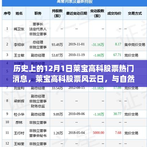 歷史上的12月1日萊寶高科股票熱門消息，萊寶高科股票風云日，與自然美景的奇妙邂逅，心靈旅行的啟程時刻