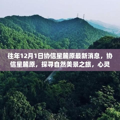 協(xié)信星麓原最新消息，探尋自然美景之旅的心靈港灣