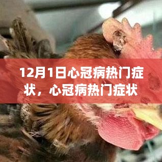 心冠病熱門癥狀深度解析，背景、事件與影響（最新更新）