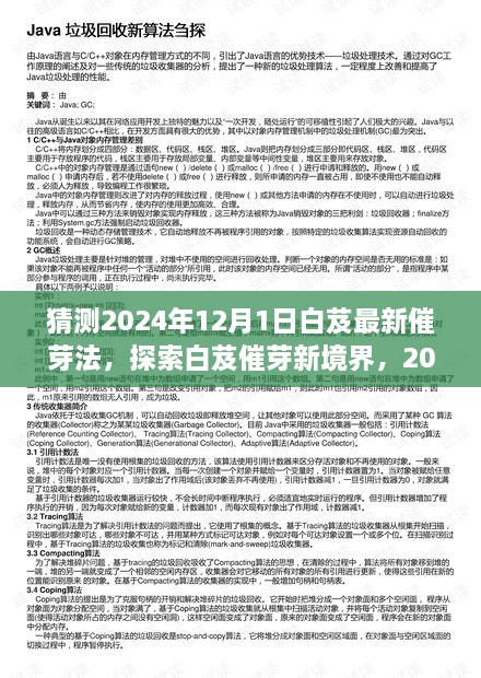 探索白芨催芽新境界，2024年白芨最新催芽法完全指南（適合初學(xué)者與進(jìn)階用戶）