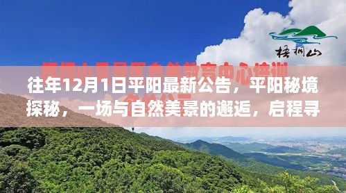 平陽(yáng)秘境探秘之旅，與自然美景的邂逅，尋找寧?kù)o之地啟程