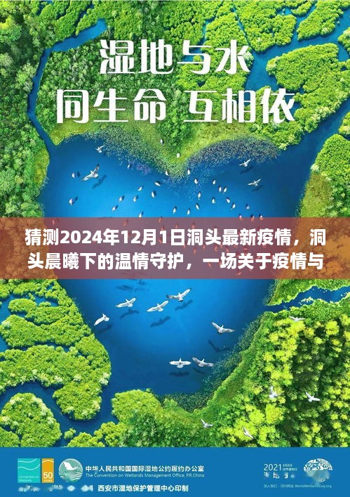 洞頭晨曦下的溫情守護，疫情與友情的日常故事預測至2024年12月1日