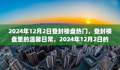 登封樓盤溫馨日常與奇遇，2024年12月2日的矚目焦點(diǎn)