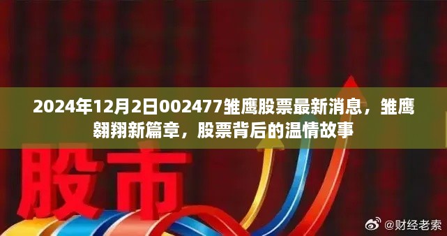 雛鷹翱翔新篇章，揭秘股票背后的溫情故事與最新動(dòng)態(tài)