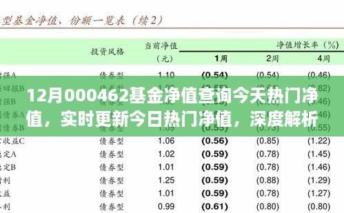 12月000462基金凈值查詢今天熱門凈值，實(shí)時(shí)更新今日熱門凈值，深度解析12月000462基金凈值查詢