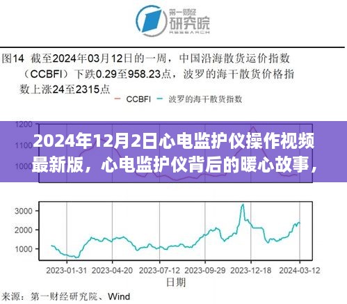 2024年12月3日 第8頁(yè)