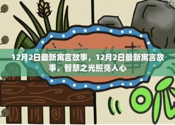 12月2日最新寓言故事，智慧之光照耀人心