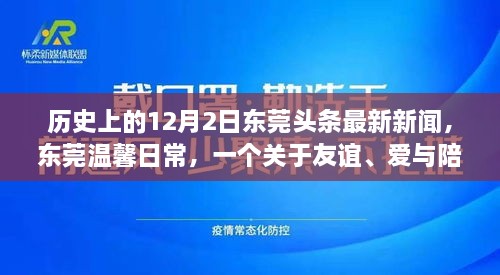 東莞頭條新聞，友誼與愛在冬日綻放——十二月二日的溫馨日常故事