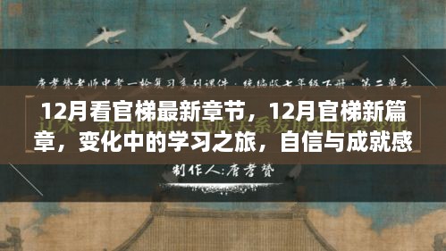 12月官梯新篇章，學(xué)習(xí)之旅的變化與自信成就之源