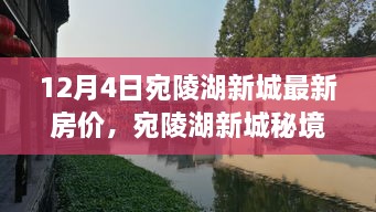 宛陵湖新城房價(jià)揭秘，秘境小巷特色小店與最新房價(jià)探秘之旅