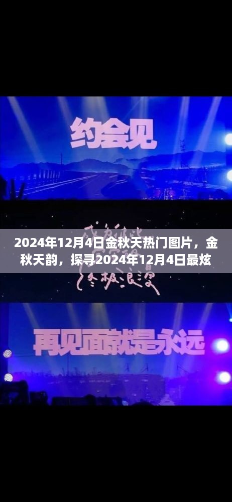 探尋金秋韻味，2024年12月4日熱門圖片精選