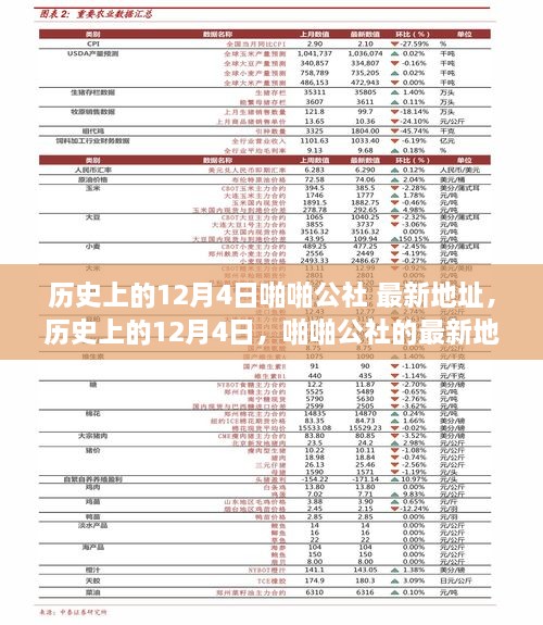 歷史上的12月4日，啪啪公社的最新地址及其背后的故事揭秘（科普文章）