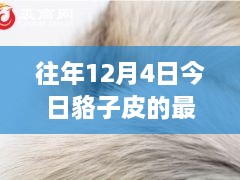 12月4日貉子皮最新價格及歷年趨勢解析，市場動態(tài)一覽