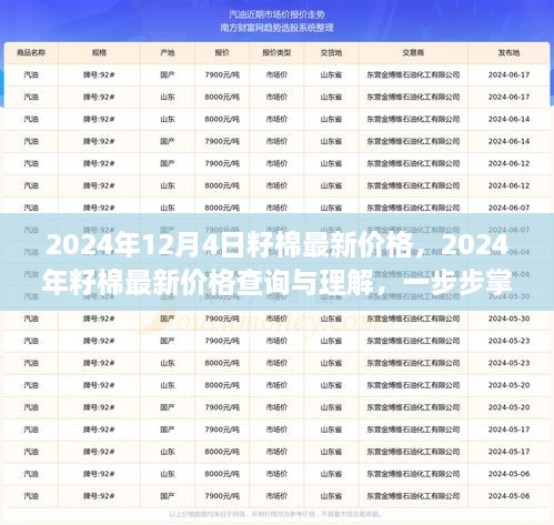 2024年12月4日籽棉最新價(jià)格，2024年籽棉最新價(jià)格查詢與理解，一步步掌握行情分析技能