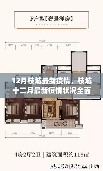 枝城最新疫情狀況全面評(píng)測(cè)分析（十二月版）