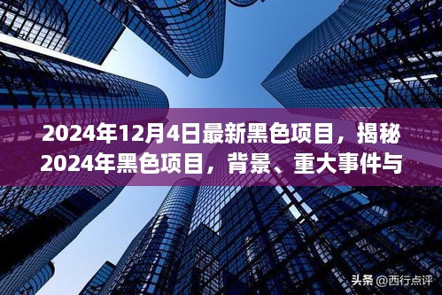 揭秘，2024年黑色項(xiàng)目的背景、重大事件與深遠(yuǎn)影響全解析