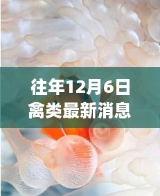 2024年12月6日 第4頁