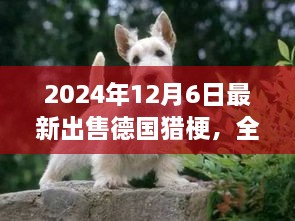 最新德國獵梗犬全面評(píng)測與出售信息，特性、競品對(duì)比及目標(biāo)用戶分析（2024年最新版）