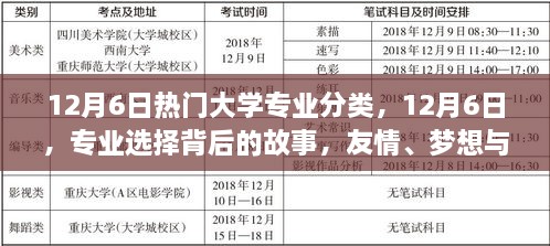 專業(yè)背后的故事，友情、夢想與家的紐帶——12月6日熱門大學(xué)專業(yè)分類探索