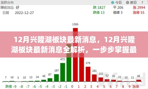 掌握興隆湖板塊最新動態(tài)，全面解析十二月最新消息