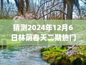 揭秘林蔭春天二期未來走向，預(yù)測熱門消息與未來展望（2024年12月6日分析）