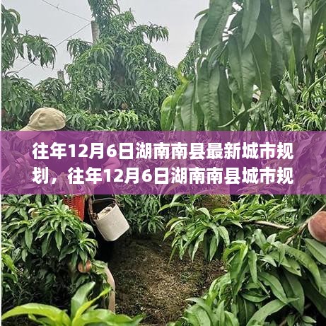 湖南南縣往年城市規(guī)劃揭秘，洞悉最新藍(lán)圖與發(fā)展趨勢(shì)