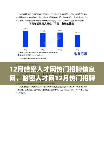 哈密人才網12月熱門招聘信息解讀，市場新動向與求職策略深度探討