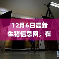 云端豬事，最新生豬信息小記（12月6日）