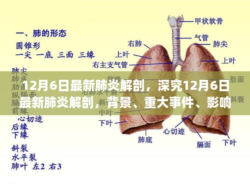 深究最新肺炎解剖，背景、重大事件、影響與時代定位（12月6日最新報(bào)告）