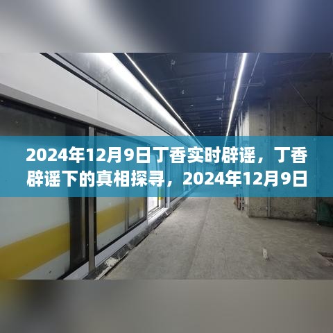 2024年視角下的丁香實時辟謠，探尋真相之旅