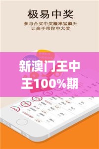 新澳門王中王100%期期中,權威分析說明_OP4.113