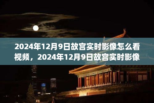 2024年12月10日 第20頁