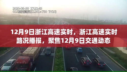 浙江高速實時路況播報，聚焦12月9日交通動態(tài)