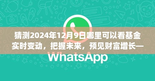 見證未來財富增長，把握基金實時變動之旅，2024年12月9日揭曉！