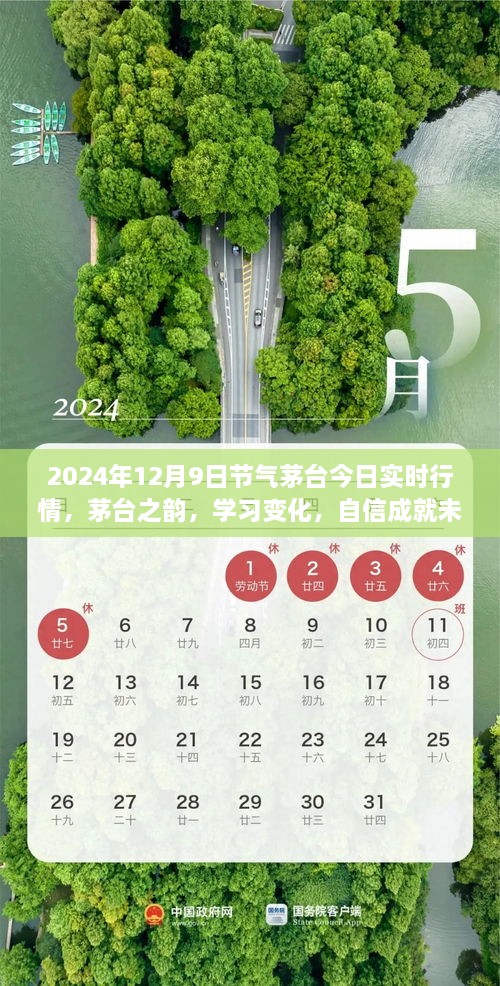 茅臺之韻，2024年12月9日實時行情啟示錄，洞悉變化，自信筑夢未來