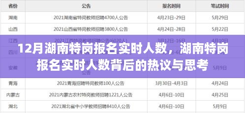 湖南特崗報名實時人數(shù)熱議與思考，背后的真相與啟示